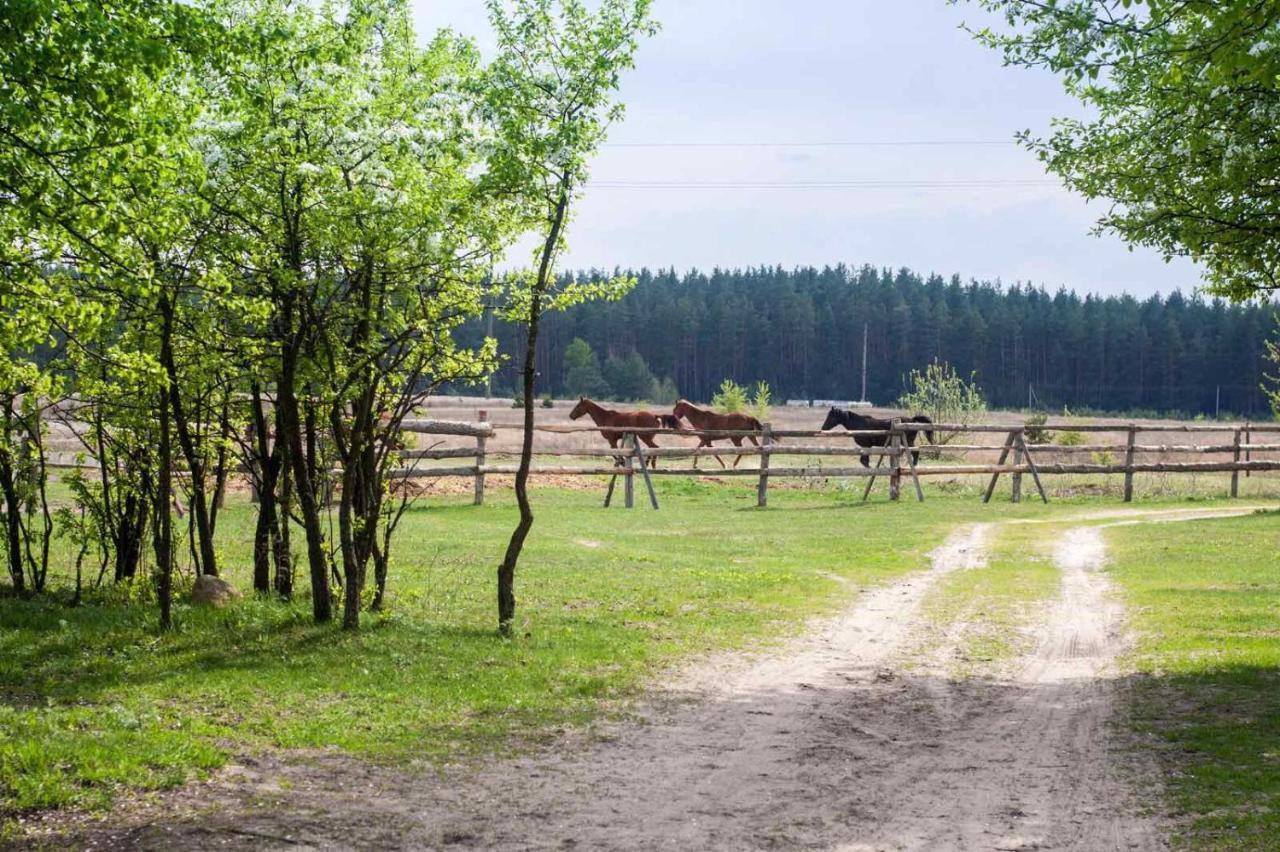 Гостевой дом Eco Dom V Lesu Bila Krynytsia Экстерьер фото